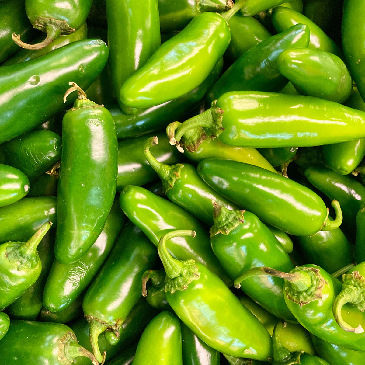 Jalapeño White Balsamic from Italy